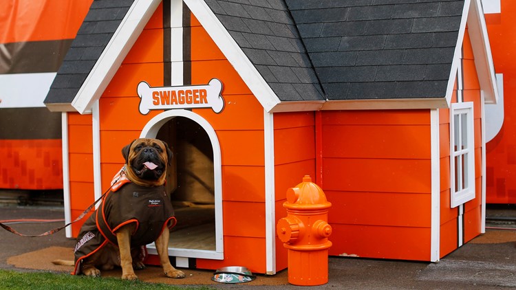 Swagger Pittsburgh Steelers-Cleveland Browns Football